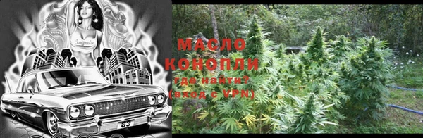 индика Магас