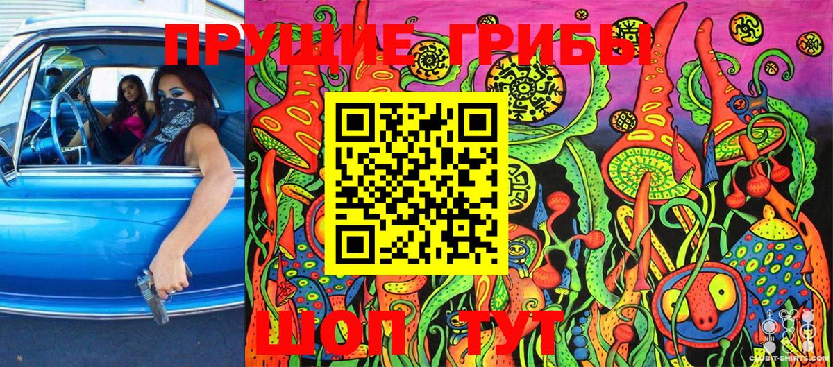 Галлюциногенные грибы Psilocybine cubensis  Вход с VPN  Таганрог 