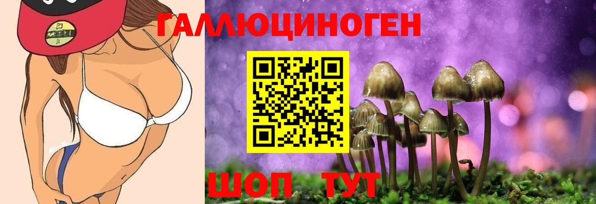 Псилоцибиновые грибы Psilocybine cubensis Таганрог